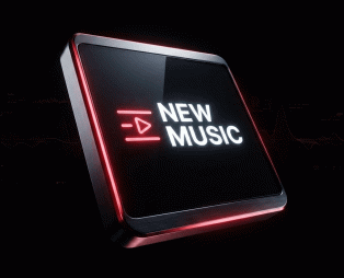 NEW.ENTRIES